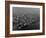 Hudson River Lined with the Docks and Piers of the Port of New York-Margaret Bourke-White-Framed Photographic Print