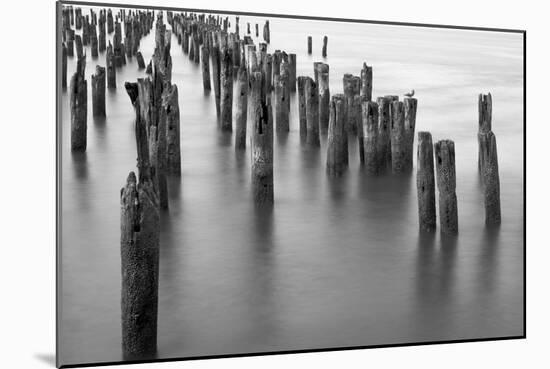 Hudson River Pilings-Bill Carson Photography-Mounted Photographic Print