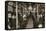 Hudson River subway train, New York, USA, c1901-Edwin Levick-Framed Premier Image Canvas