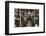 Hudson River subway train, New York, USA, c1901-Edwin Levick-Framed Photographic Print