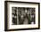 Hudson River subway train, New York, USA, c1901-Edwin Levick-Framed Photographic Print