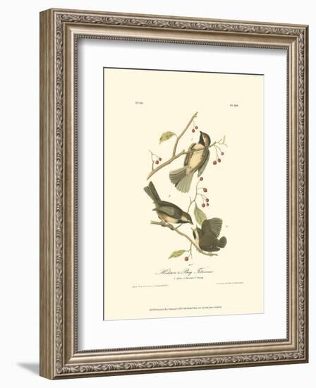 Hudson's Bay Titmouse-John James Audubon-Framed Art Print