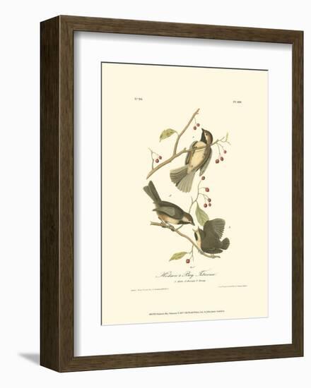 Hudson's Bay Titmouse-John James Audubon-Framed Art Print