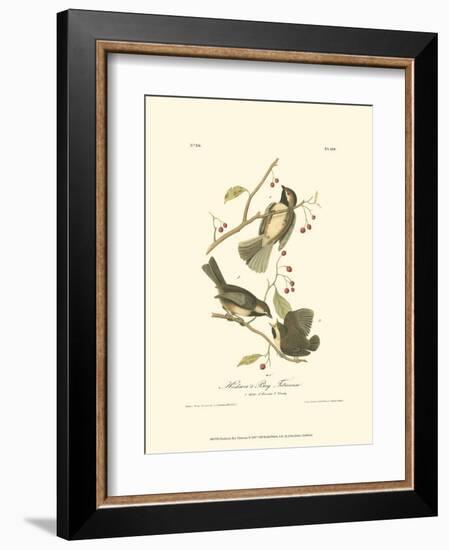 Hudson's Bay Titmouse-John James Audubon-Framed Art Print