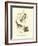 Hudson's Bay Titmouse-John James Audubon-Framed Premium Giclee Print