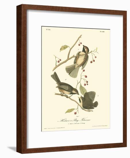 Hudson's Bay Titmouse-John James Audubon-Framed Premium Giclee Print