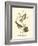 Hudson's Bay Titmouse-John James Audubon-Framed Art Print