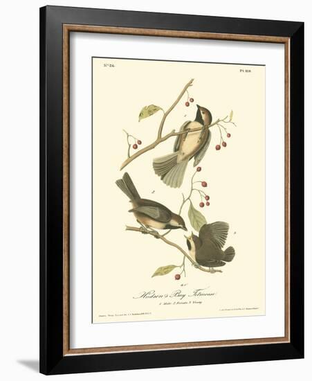 Hudson's Bay Titmouse-John James Audubon-Framed Art Print