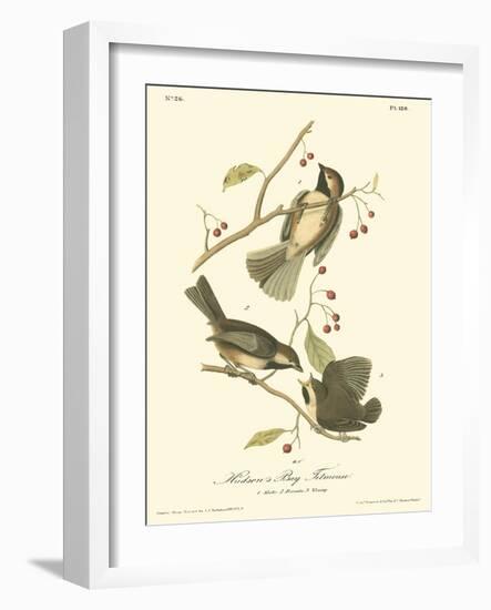 Hudson's Bay Titmouse-John James Audubon-Framed Art Print