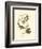 Hudson's Bay Titmouse-John James Audubon-Framed Art Print