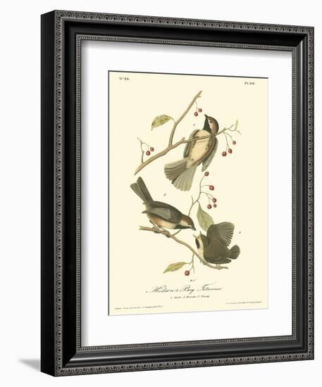 Hudson's Bay Titmouse-John James Audubon-Framed Art Print