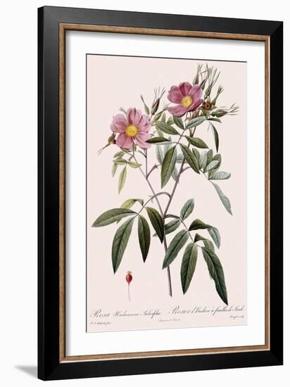 Hudson's Rose-Langlois-Framed Giclee Print