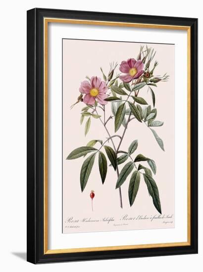 Hudson's Rose-Langlois-Framed Giclee Print