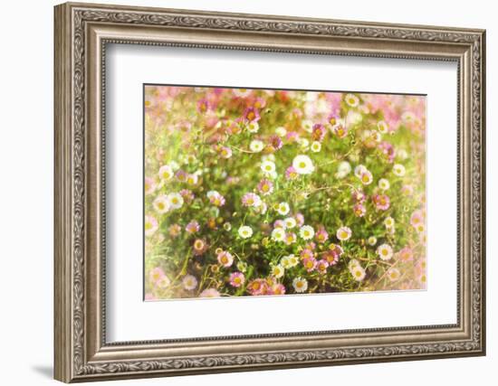 Hue-Viviane Fedieu Daniel-Framed Photographic Print