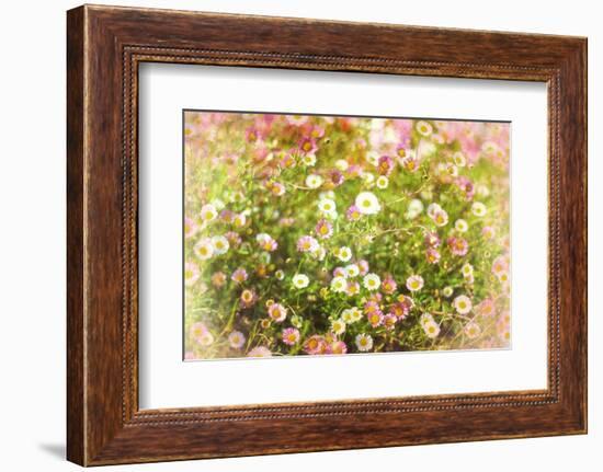 Hue-Viviane Fedieu Daniel-Framed Photographic Print