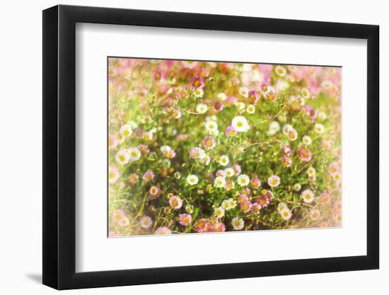 Hue-Viviane Fedieu Daniel-Framed Photographic Print