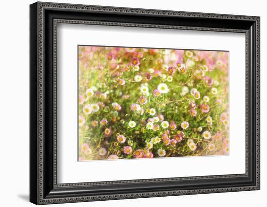 Hue-Viviane Fedieu Daniel-Framed Photographic Print