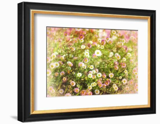 Hue-Viviane Fedieu Daniel-Framed Photographic Print