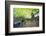 Huelgoat Entrance-Philippe Manguin-Framed Photographic Print