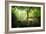 Huelgoat Forest Bretagne-Philippe Manguin-Framed Photographic Print