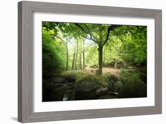 Huelgoat Forest Bretagne-Philippe Manguin-Framed Photographic Print