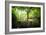 Huelgoat Forest Bretagne-Philippe Manguin-Framed Photographic Print