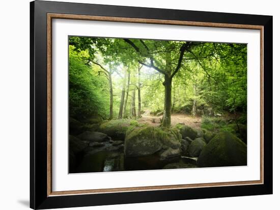 Huelgoat Forest Bretagne-Philippe Manguin-Framed Photographic Print