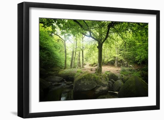 Huelgoat Forest Bretagne-Philippe Manguin-Framed Photographic Print