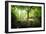 Huelgoat Forest Bretagne-Philippe Manguin-Framed Photographic Print