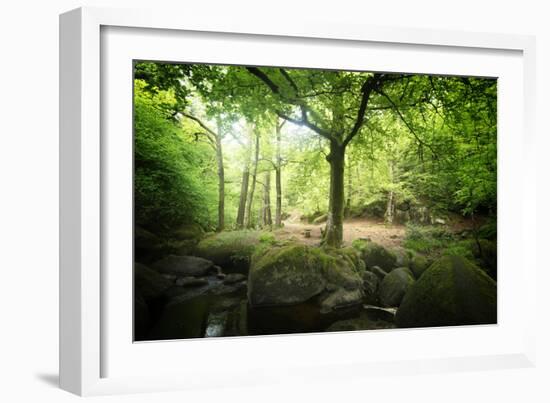 Huelgoat Forest Bretagne-Philippe Manguin-Framed Photographic Print