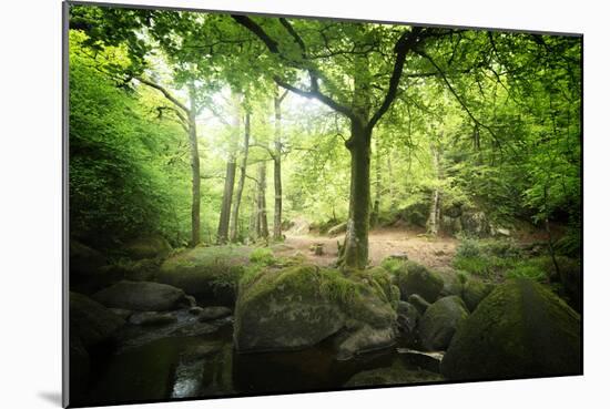 Huelgoat Forest Bretagne-Philippe Manguin-Mounted Photographic Print