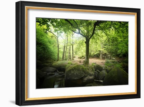 Huelgoat Forest Bretagne-Philippe Manguin-Framed Photographic Print