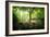 Huelgoat Forest Bretagne-Philippe Manguin-Framed Photographic Print