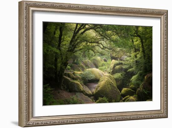 Huelgoat Forest In Brittany-Philippe Manguin-Framed Photographic Print