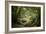 Huelgoat Forest In Brittany-Philippe Manguin-Framed Photographic Print