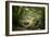 Huelgoat Forest In Brittany-Philippe Manguin-Framed Photographic Print