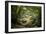 Huelgoat Forest In Brittany-Philippe Manguin-Framed Photographic Print