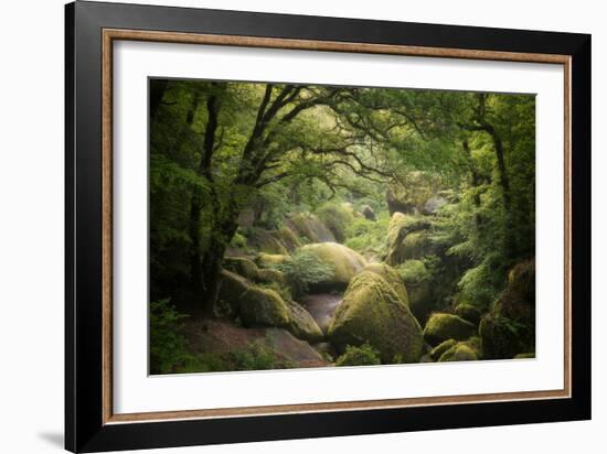 Huelgoat Forest In Brittany-Philippe Manguin-Framed Photographic Print