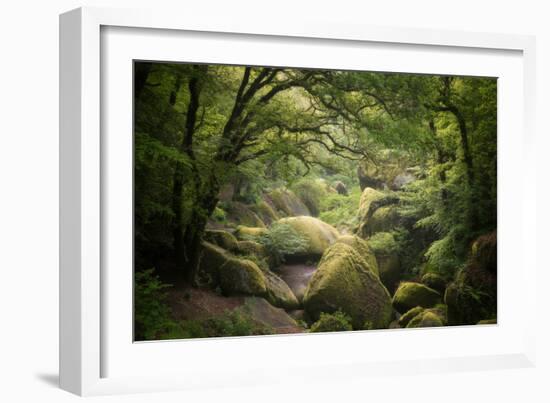 Huelgoat Forest In Brittany-Philippe Manguin-Framed Photographic Print