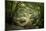 Huelgoat Forest In Brittany-Philippe Manguin-Mounted Photographic Print