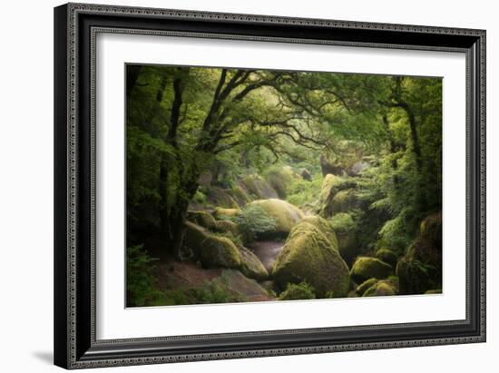 Huelgoat Forest In Brittany-Philippe Manguin-Framed Photographic Print