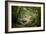 Huelgoat Forest In Brittany-Philippe Manguin-Framed Photographic Print