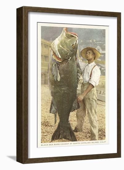 Huge Black Sea Bass, Catalina, California-null-Framed Art Print