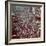 Huge Crowd Celebrating Ve Day in New York City During WWII-null-Framed Photographic Print