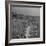 Huge Crowd Gathered in the Surf and at the Beach in Front of Coney Island Amusement Park-Marie Hansen-Framed Photographic Print