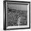 Huge Crowd Gathered in the Surf and at the Beach in Front of Coney Island Amusement Park-Marie Hansen-Framed Photographic Print