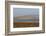 Huge Flock of Knot (Calidris Canutus) in Flight, Snettisham Rspb Reserve, Norfolk, England, U.K.-Ann & Steve Toon-Framed Photographic Print