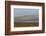 Huge Flock of Knot (Calidris Canutus) in Flight, Snettisham Rspb Reserve, Norfolk, England, U.K.-Ann & Steve Toon-Framed Photographic Print