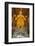 Huge Golden Buddha Statue, Ulaanbaatar (Ulan Bator)-Eleanor Scriven-Framed Photographic Print