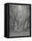 Huge Host of Angels Descend Through the Clouds in Paradise-Gustave Dor?-Framed Premier Image Canvas